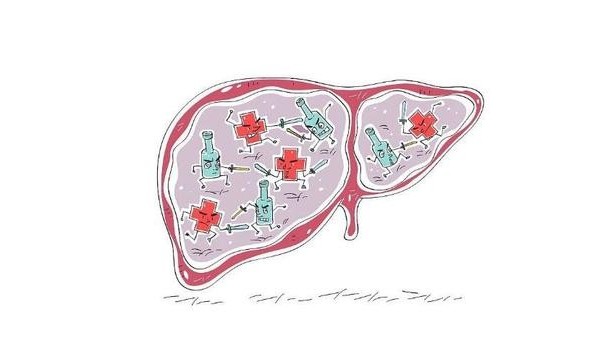 坚持做这些事情，让你肝脏健康干净